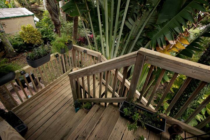 House Farm Treetops Oasis